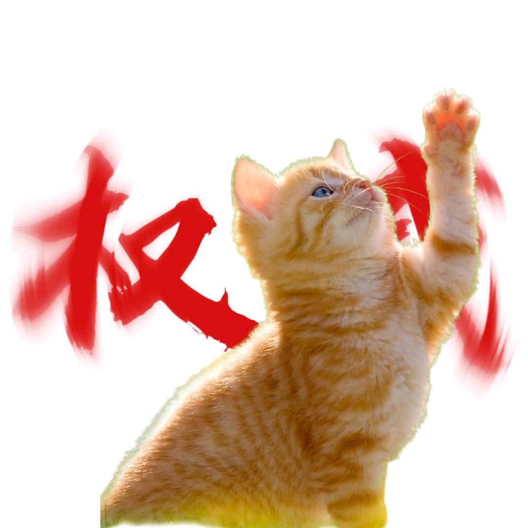 冰雪。