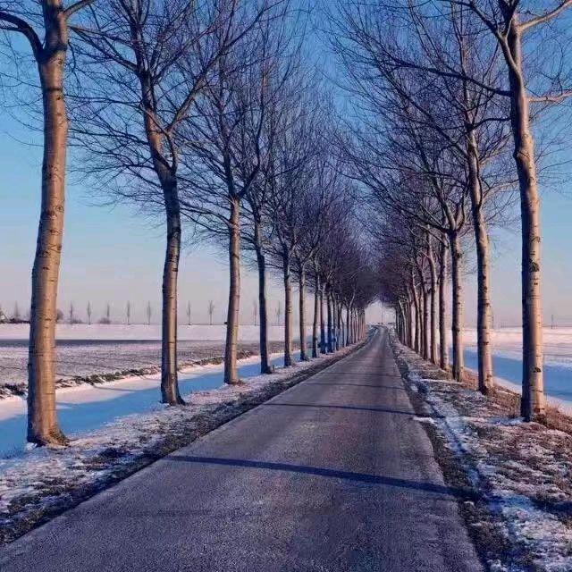 小趙小趙 福星高照✨