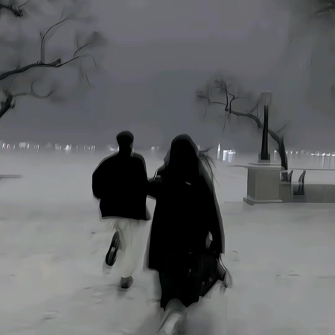 .归鸿