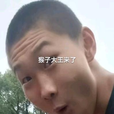 帅不烂的大傻锅