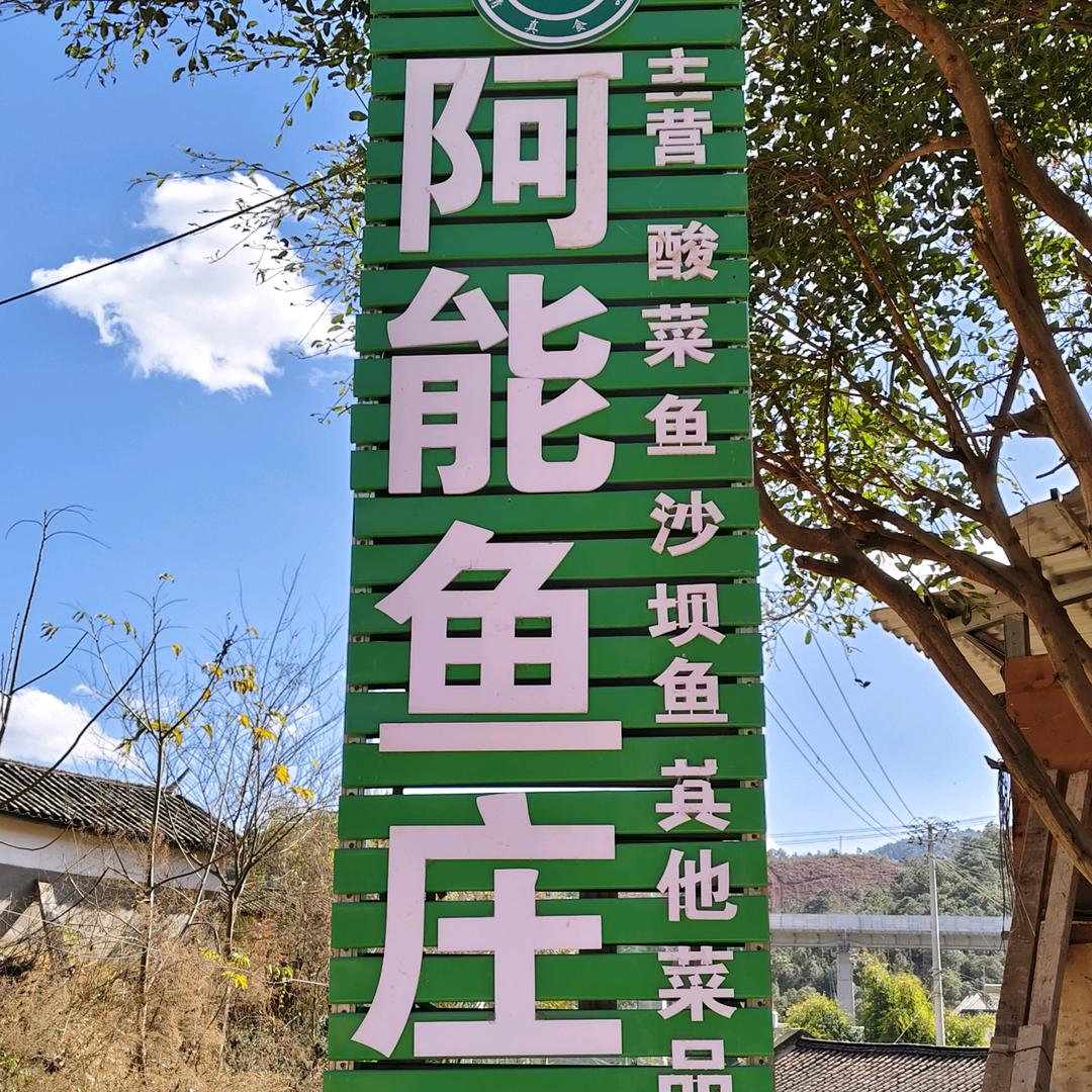 阿能鱼庄