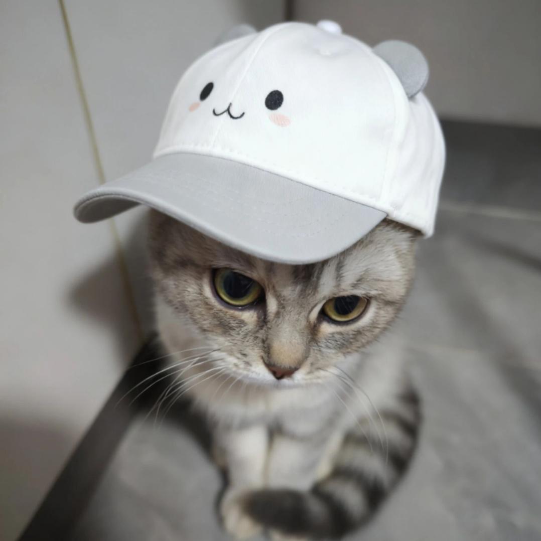 包谷