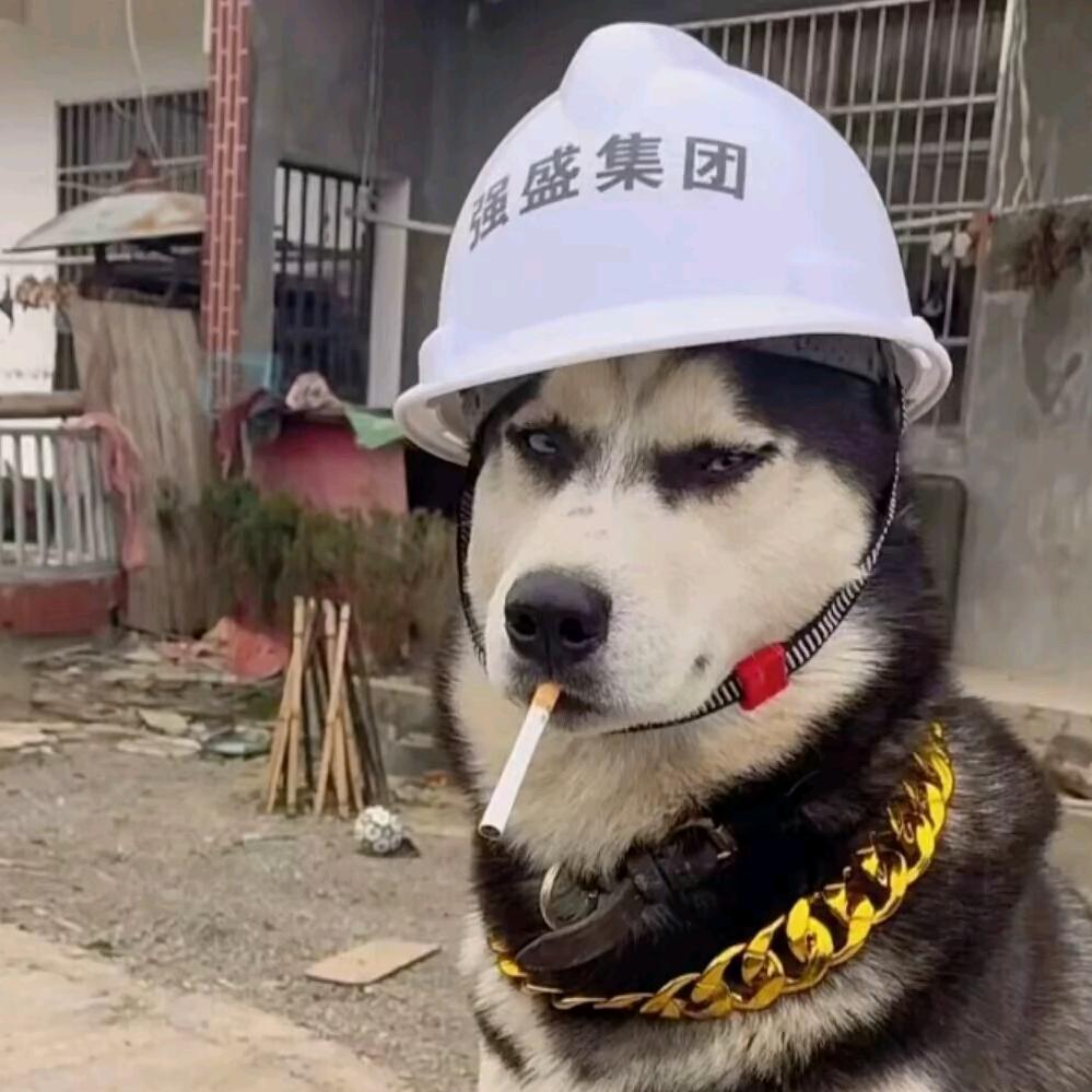 🌈🌈西瓜不甜不要钱哟🌈🌈