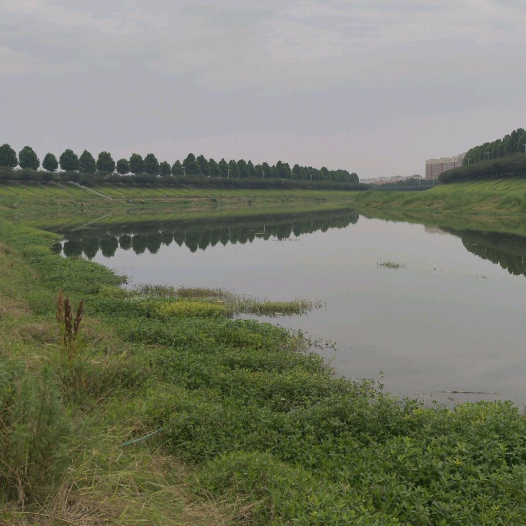 平安是福