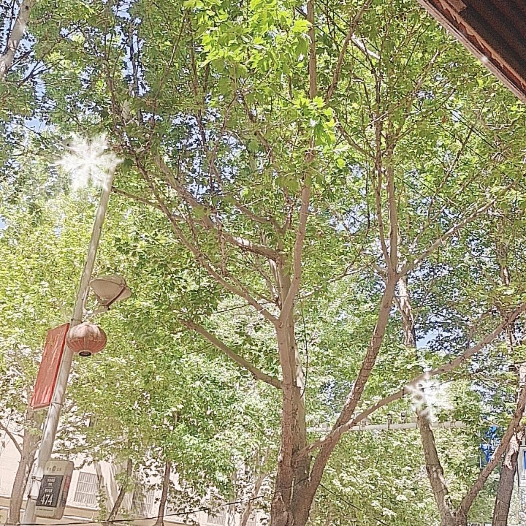 💥((昆鹰))💥
