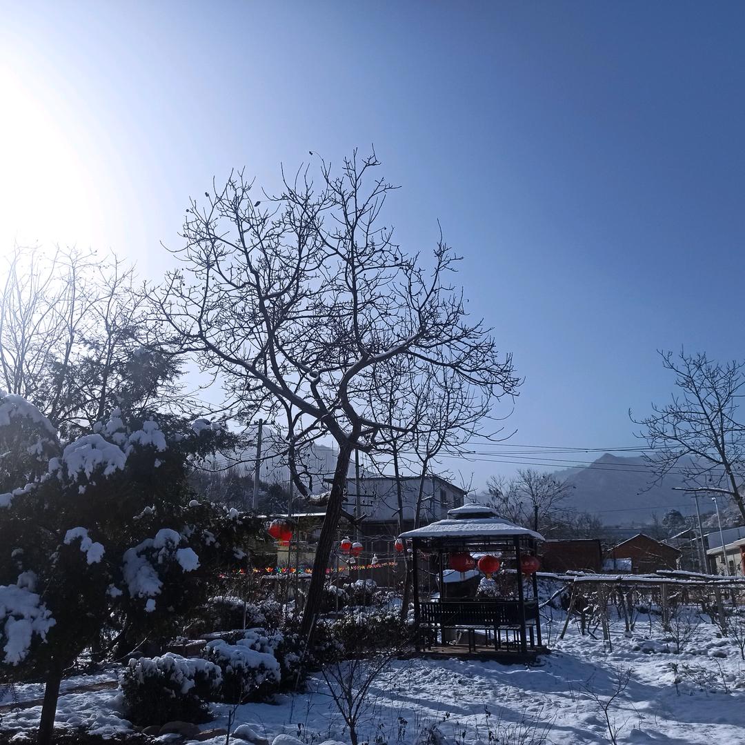 农村时政窗口