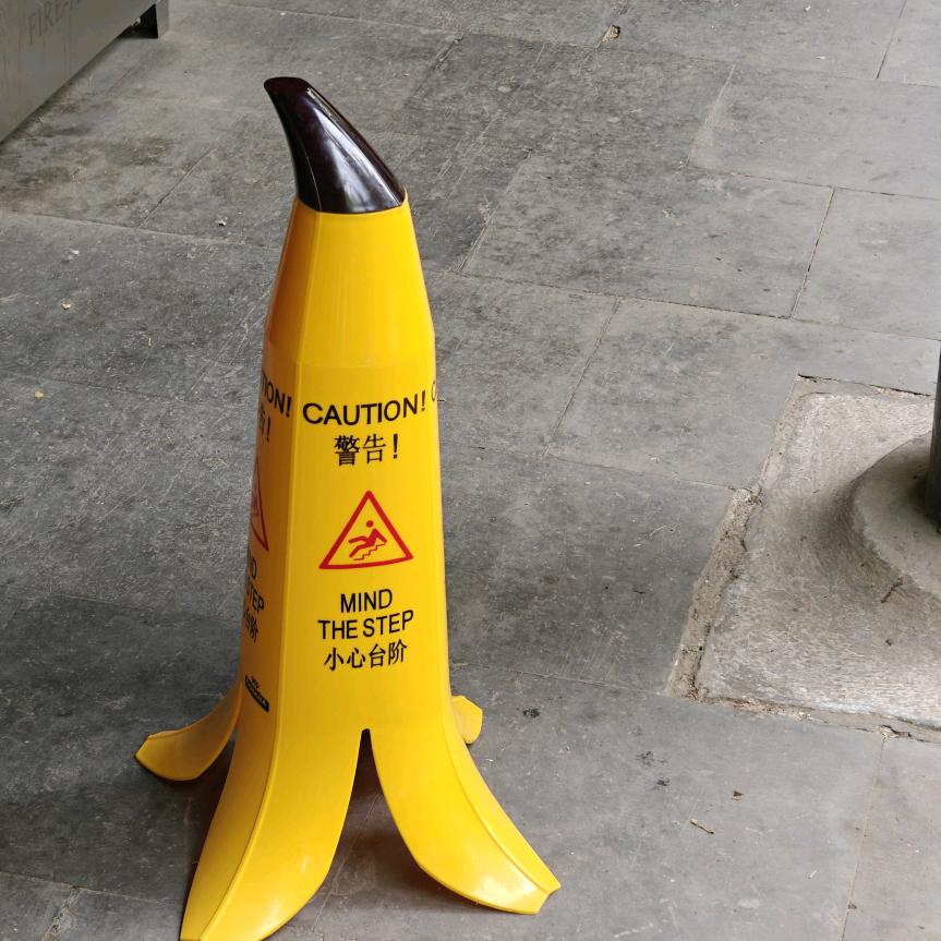 人念冬