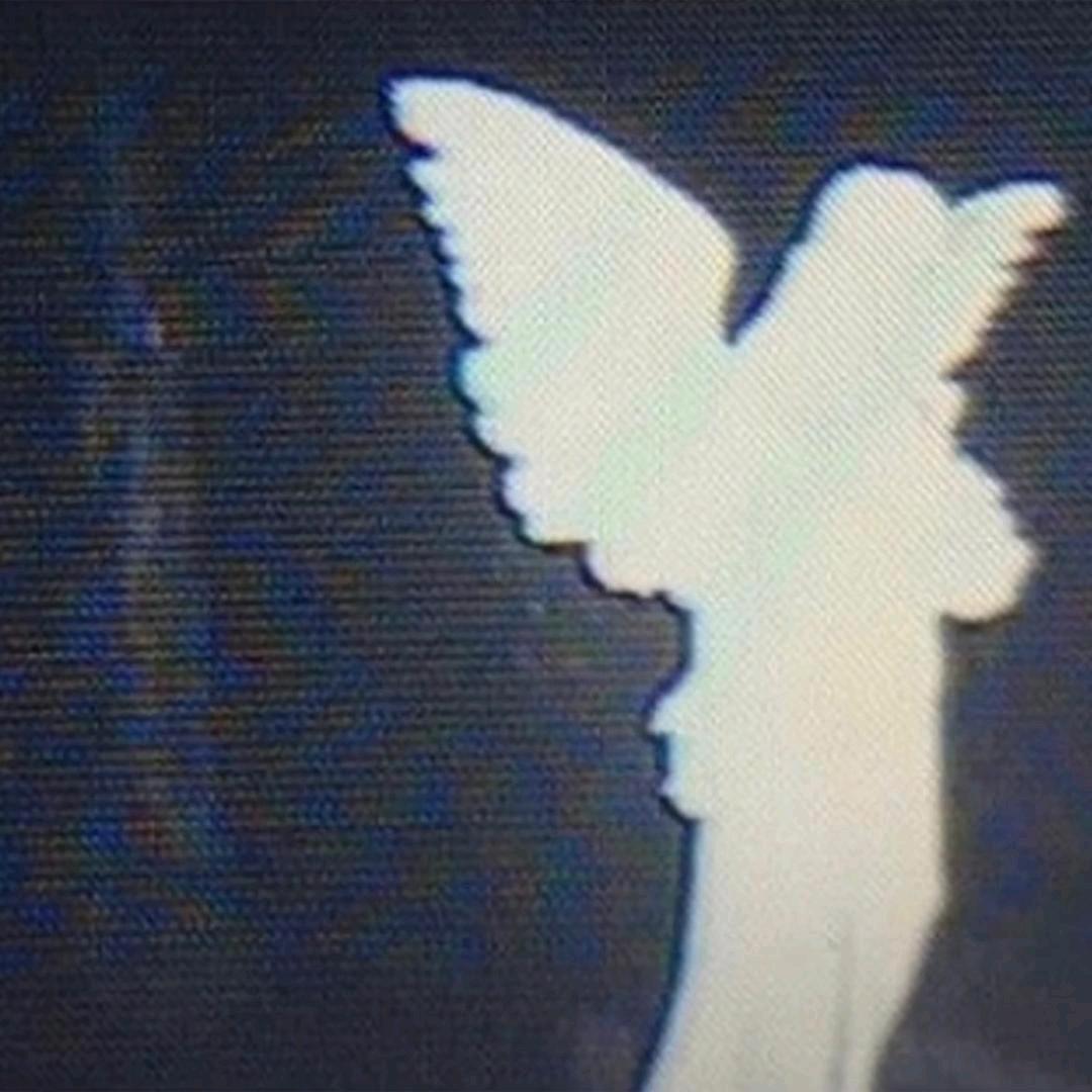 玫瑰.