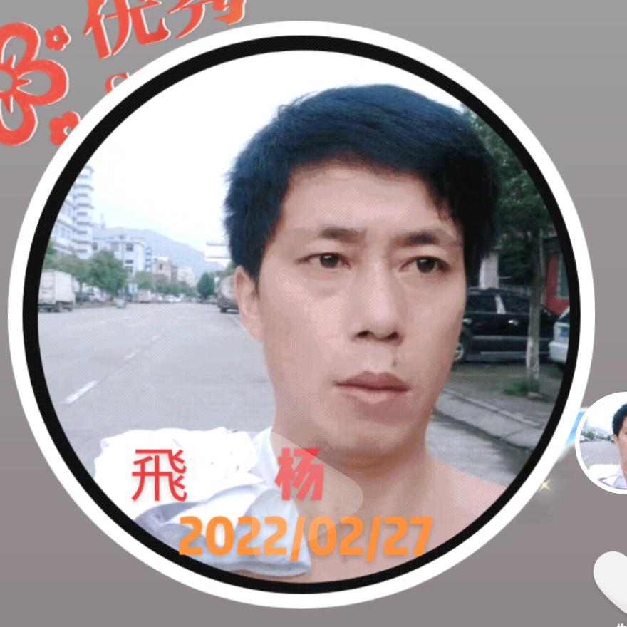 飛楊