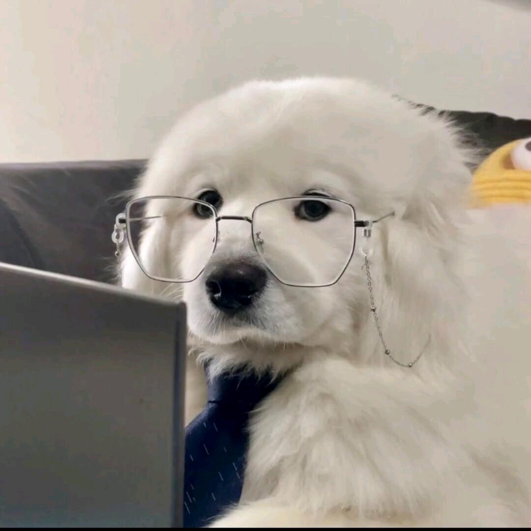 嘉.教授头像
