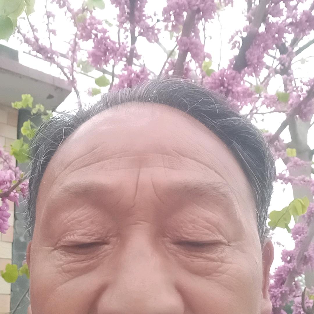 shhdhrgsg3
