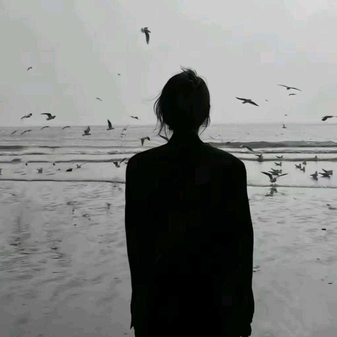 小陈的朋友圈~