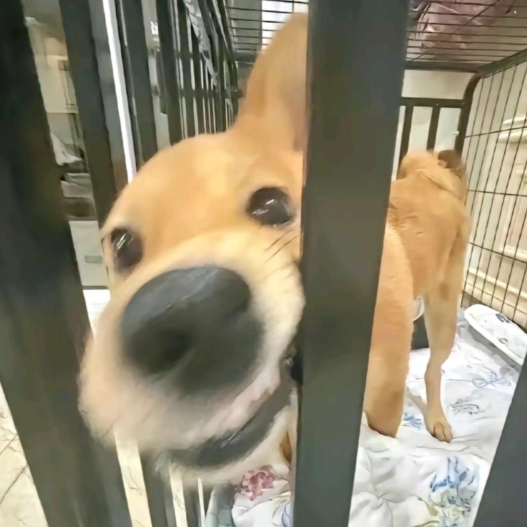 蜡笔老六(͡° ͜ʖ ͡°)