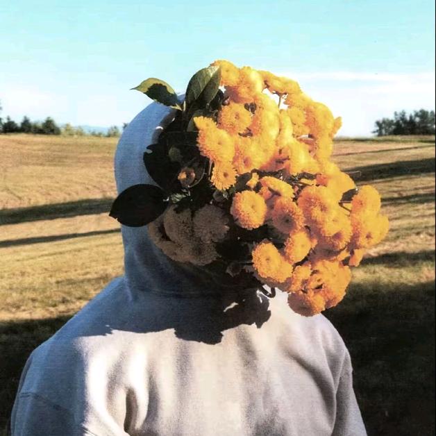 苹果树上的橙子