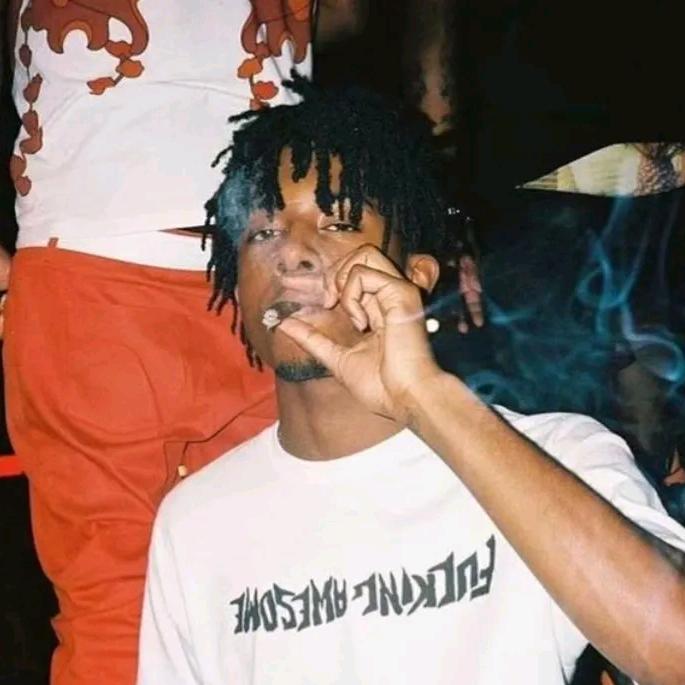 plcarti👹