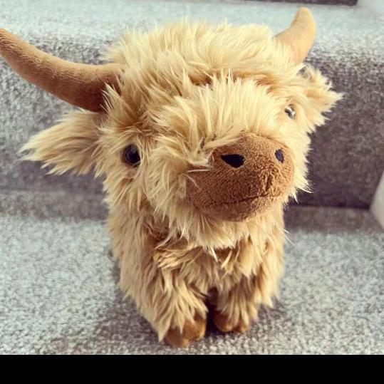 骑着小毛驴逛大江大河