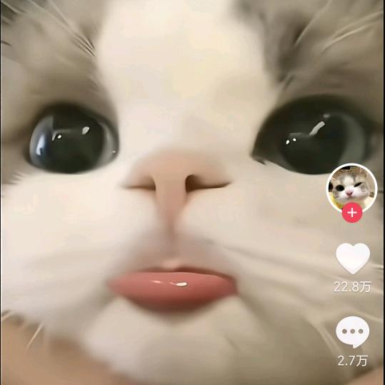 富贵儿～