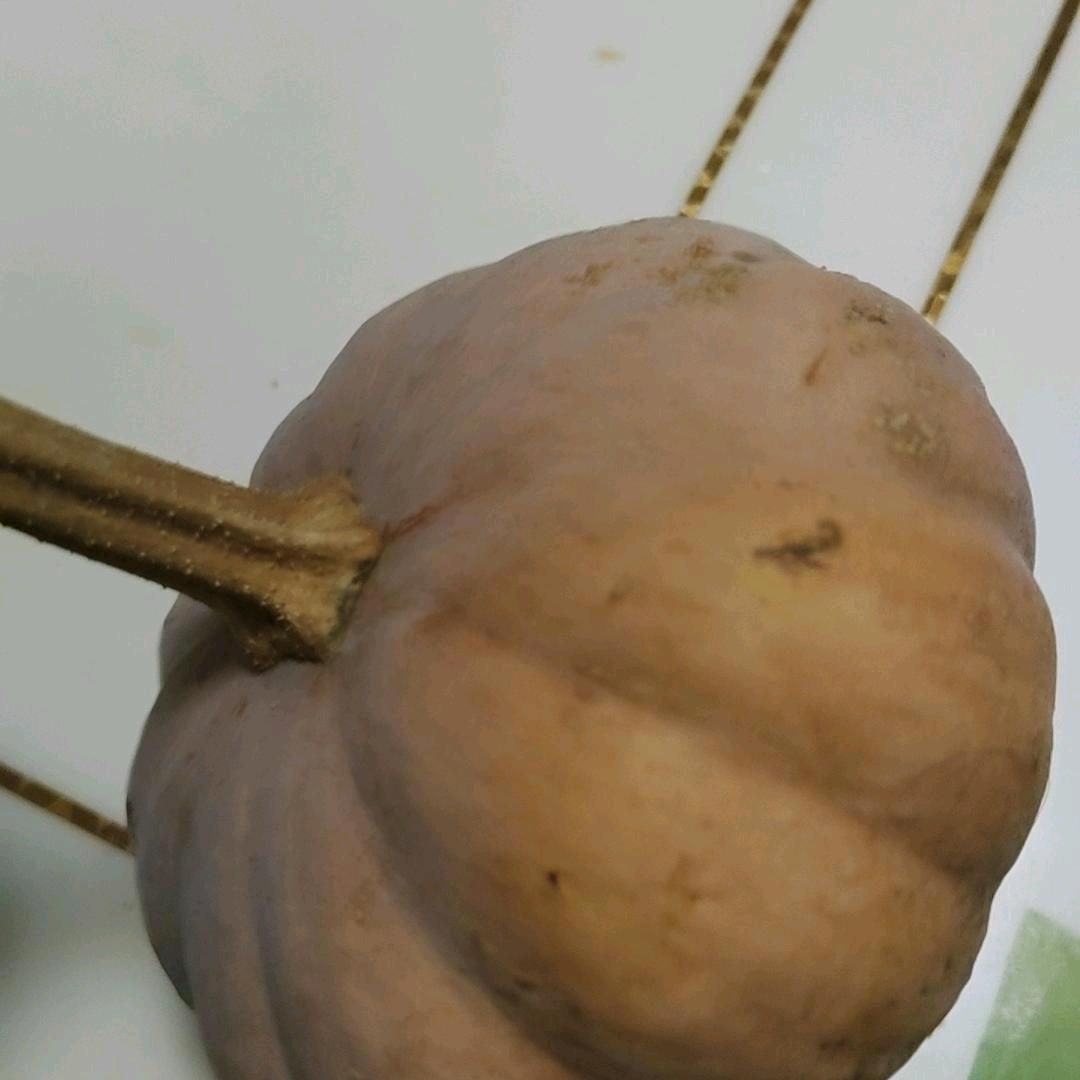 独宠一人
