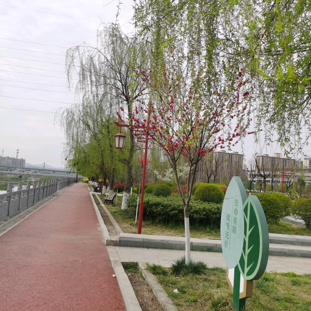 佛晓晨曦