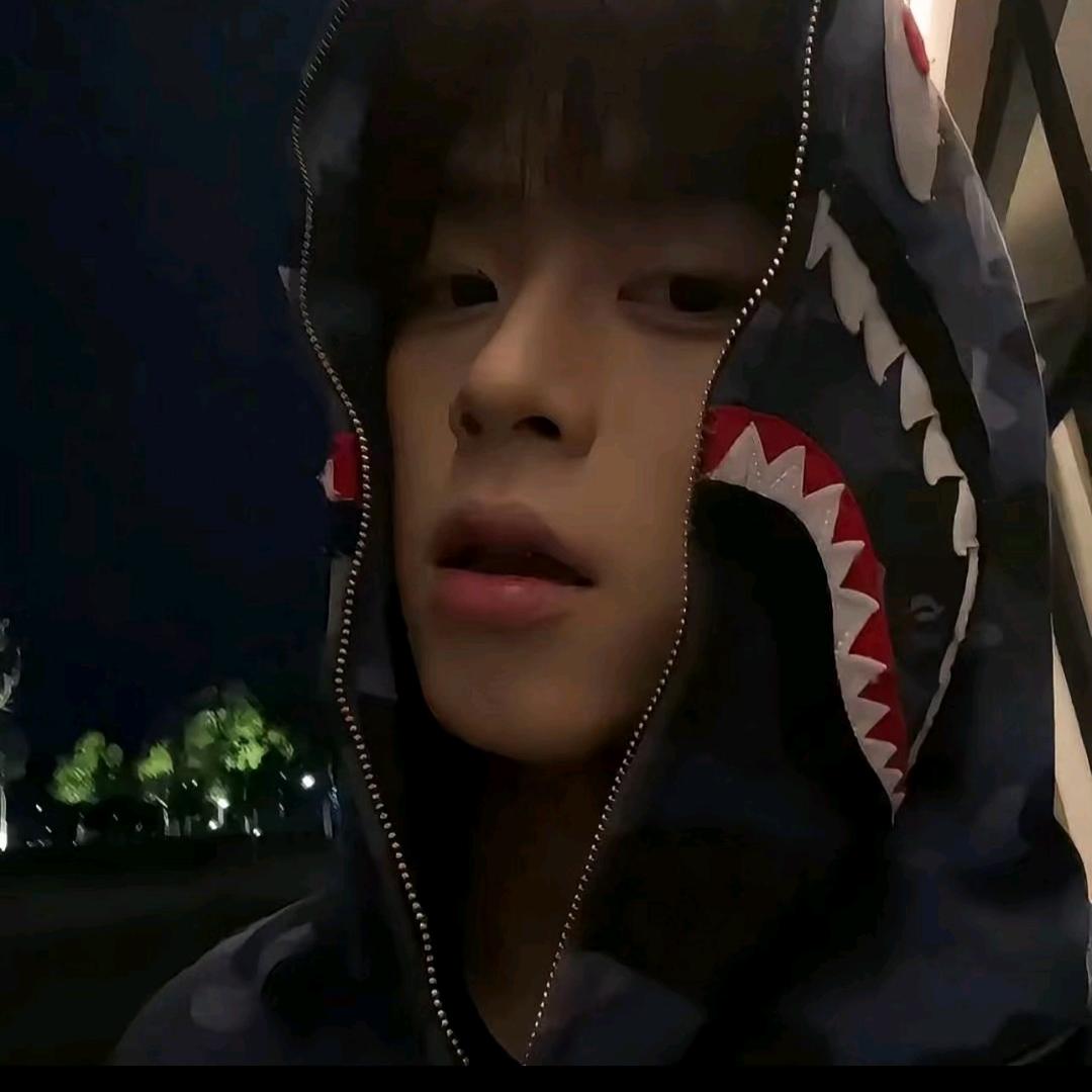 小洛.