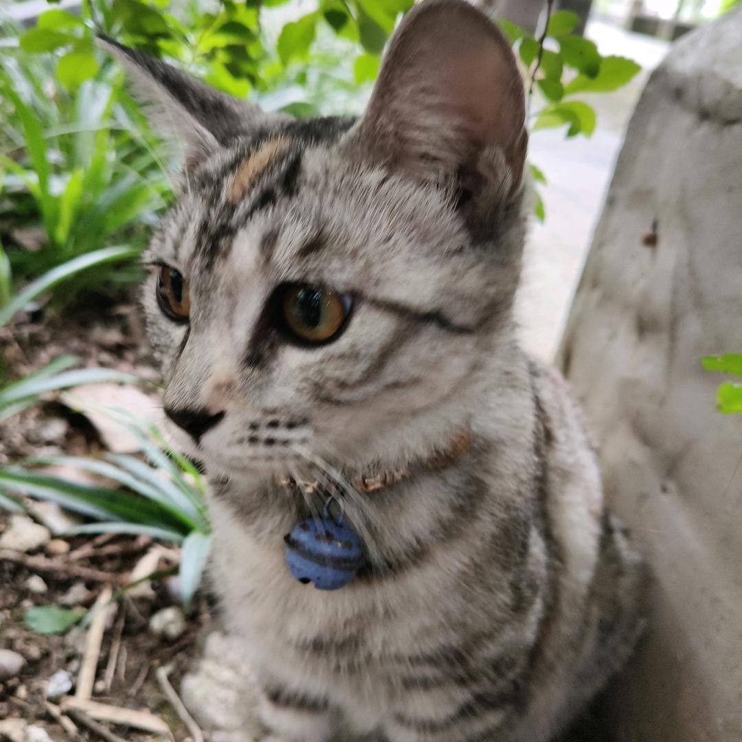 江江江江九十坞