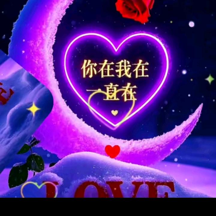 我是一只受伤的狼。