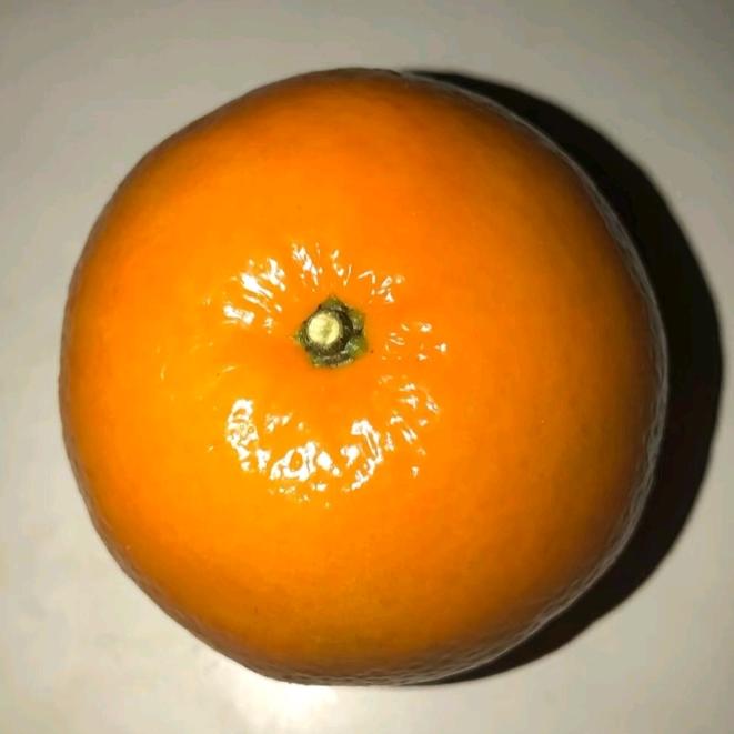 橘子🍊🦋