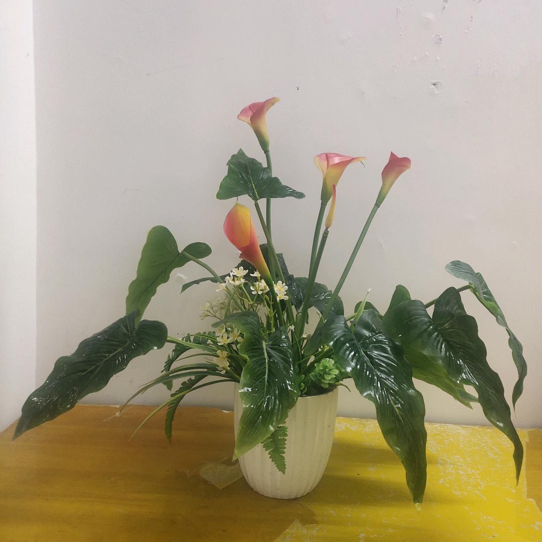 冬天的太阳