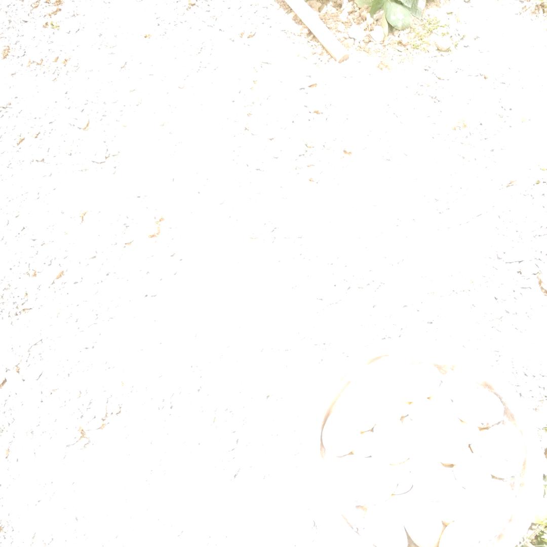清风→徐来