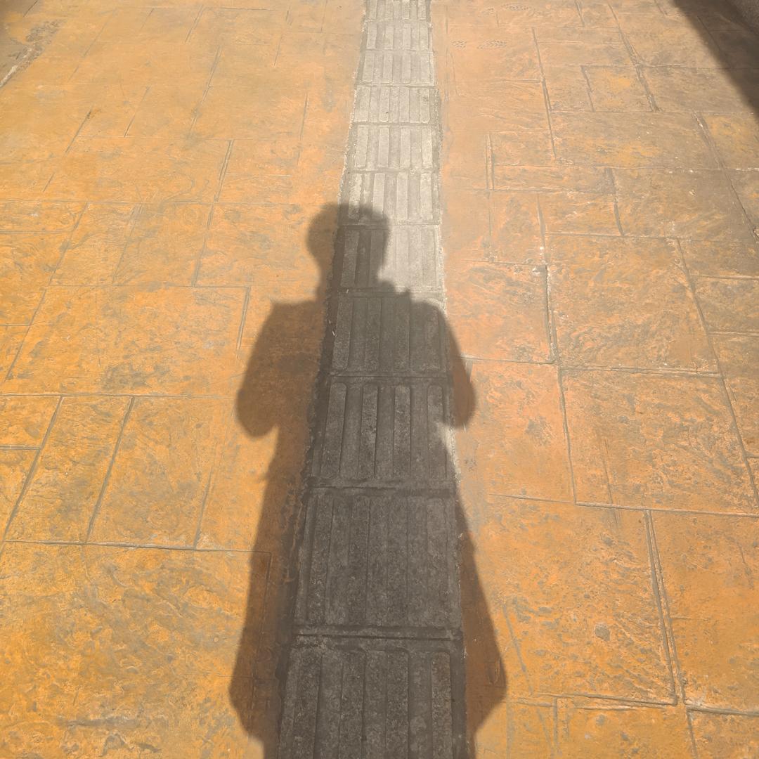 洋葱肉丝