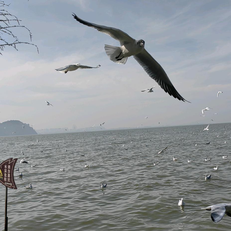 人生当中风雨中