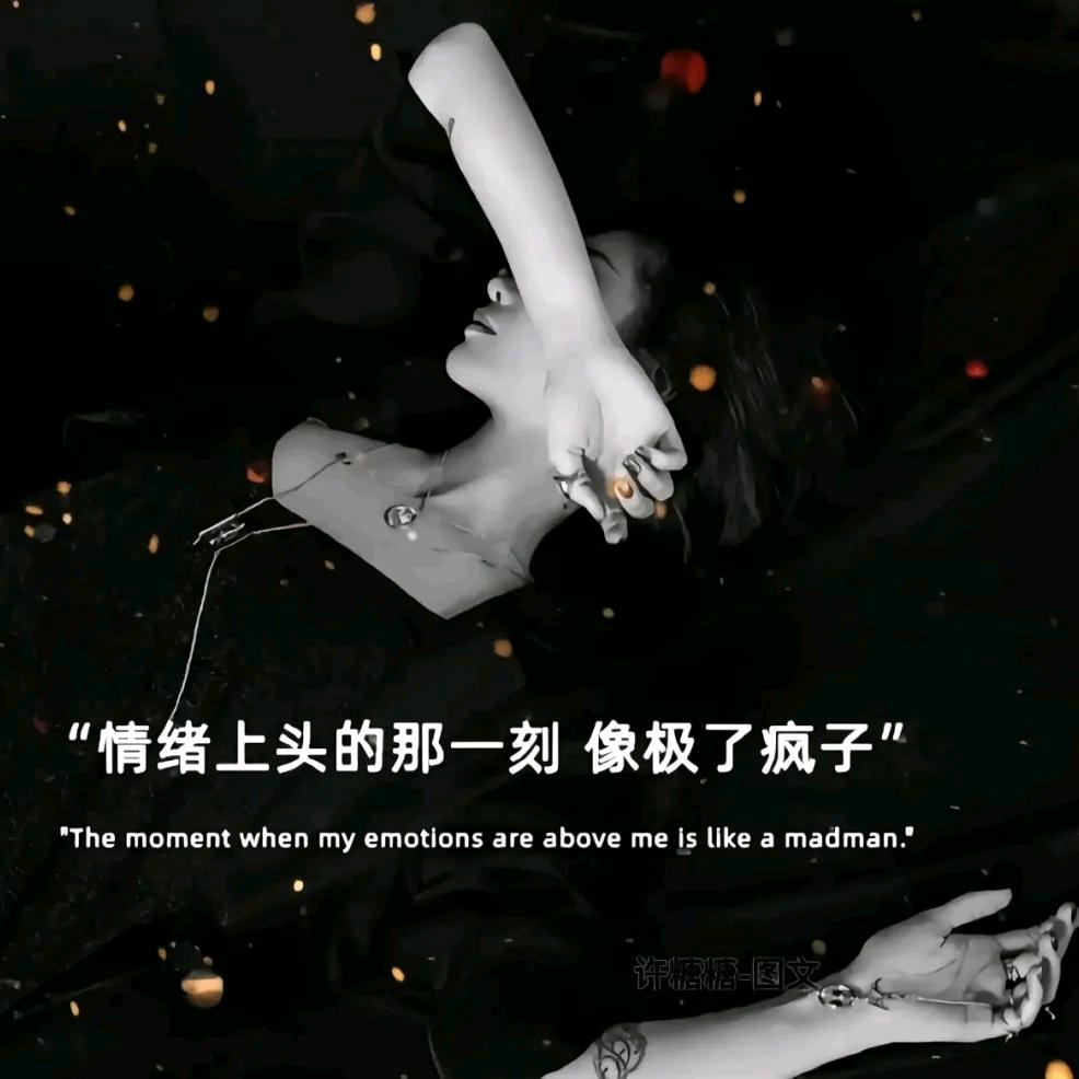 多米🔥⁵¹⁵初心如磐