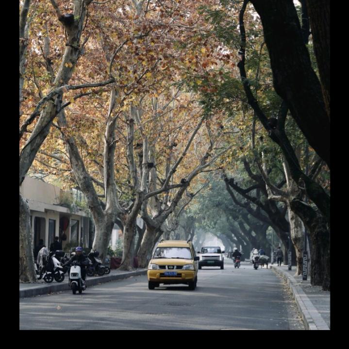 音🎶悦🎶人🎶生🎶