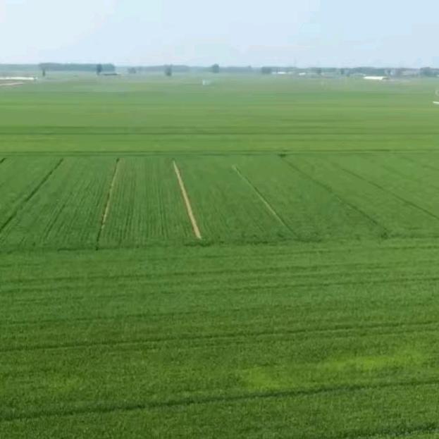 胡先森·土地流转