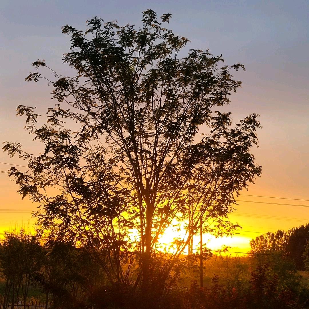 不知道叫什么？