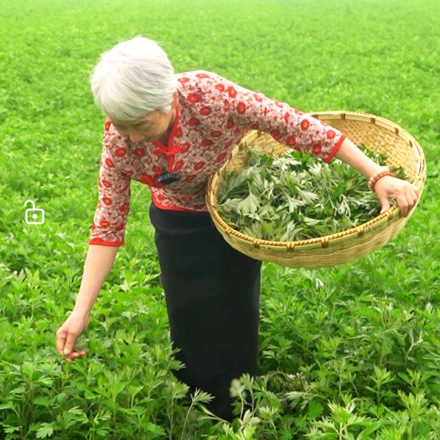 药财一姐