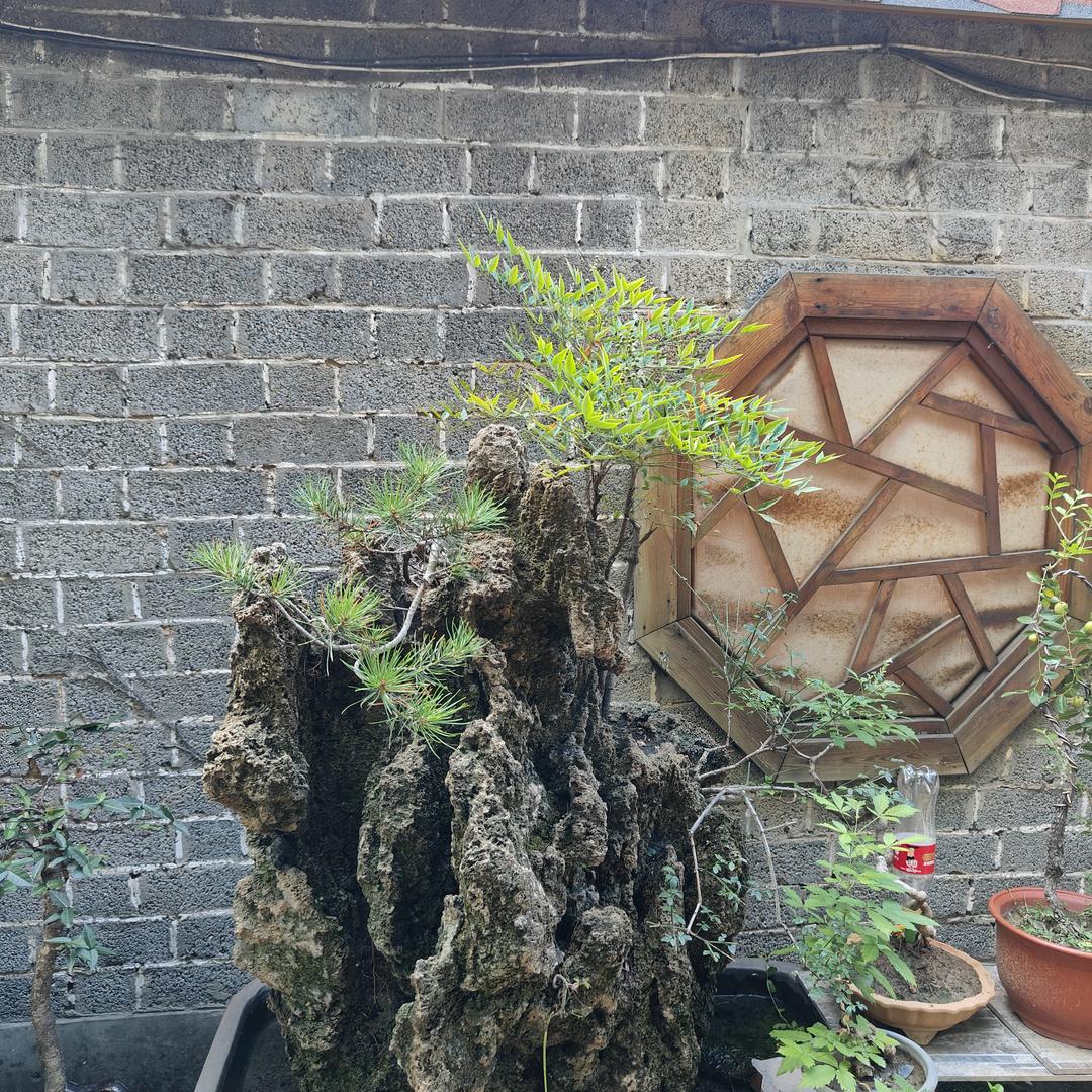 豫窦智翁