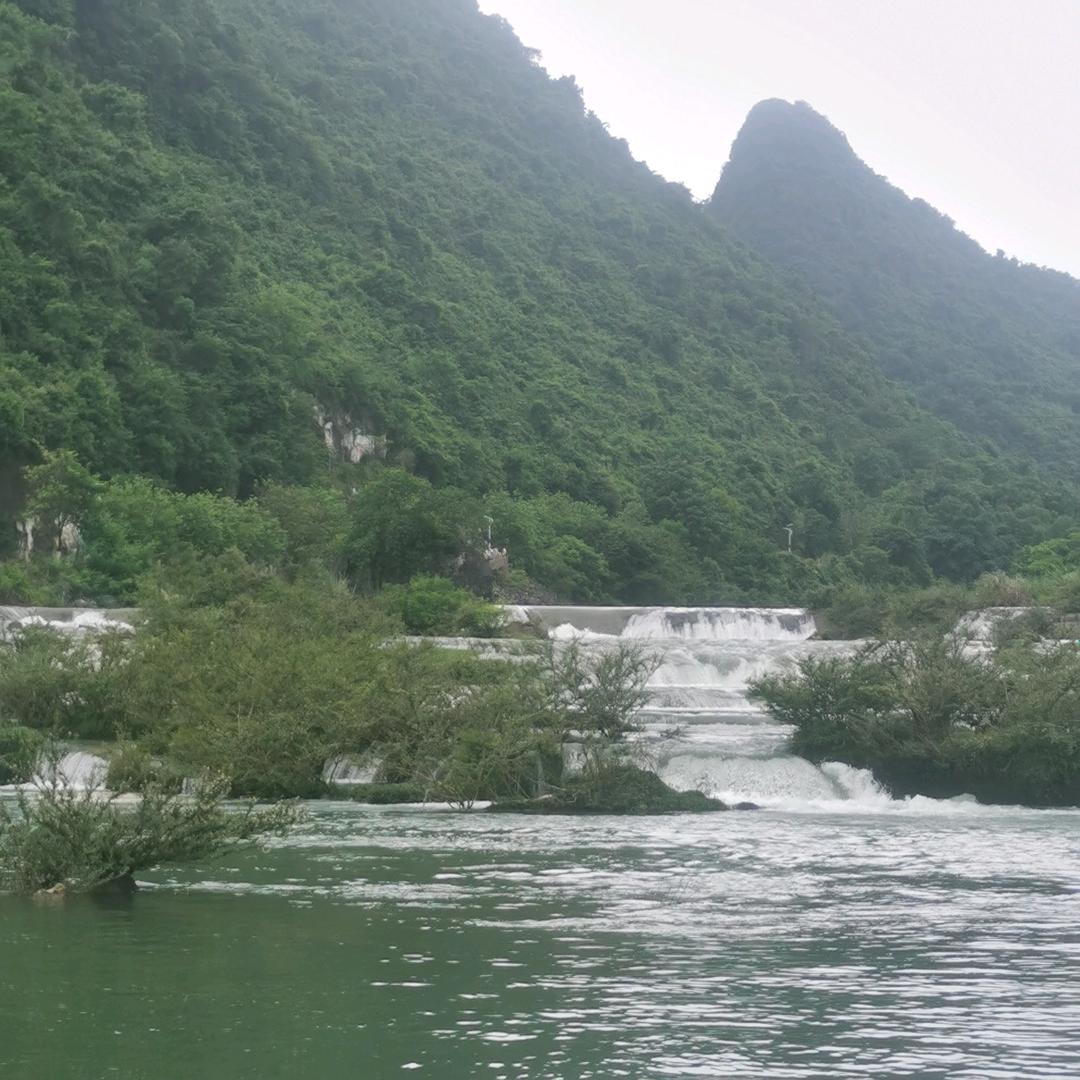 陆川县飞龙电商经营部（个体工商户）