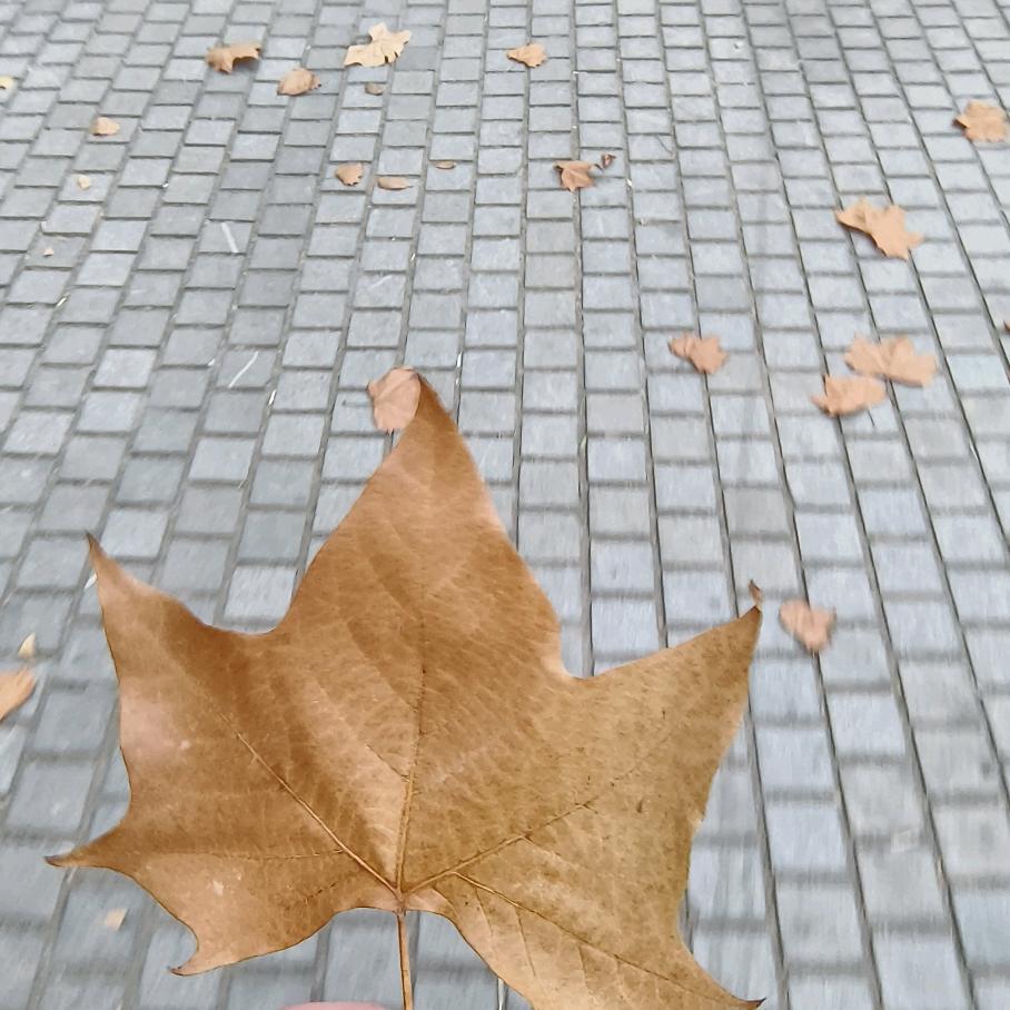 06的登