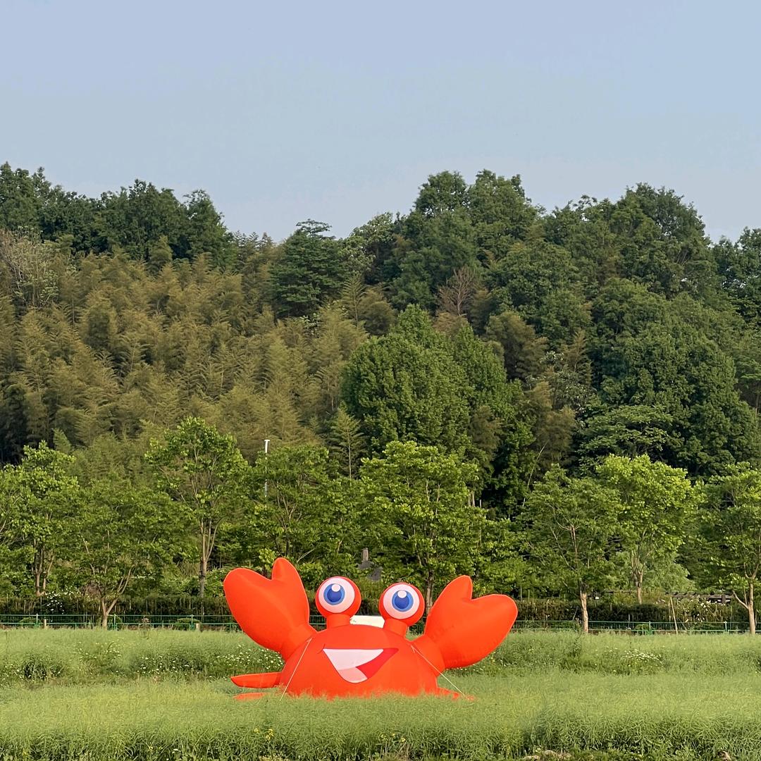 鲁家蟹宝王国宠粉号