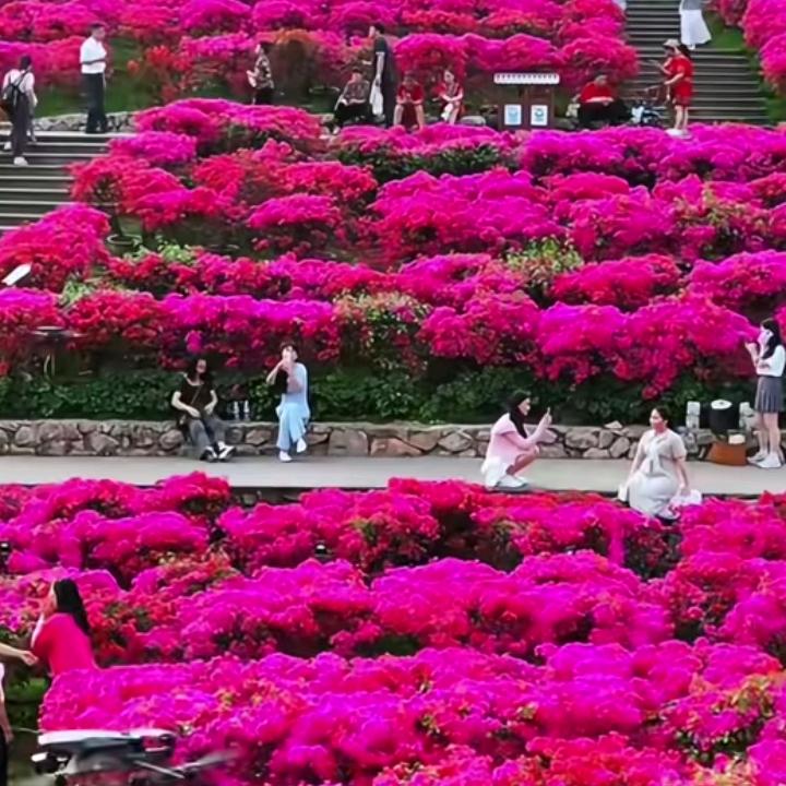 北京市