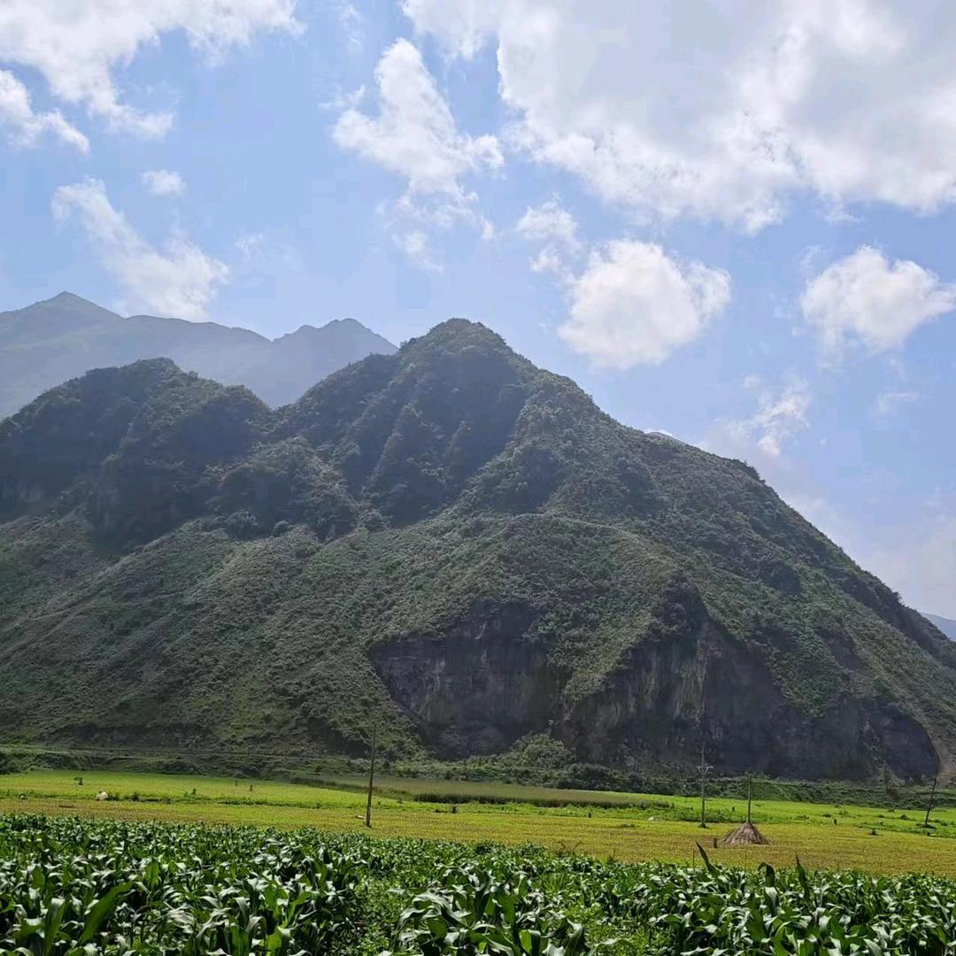 人生没有回头路