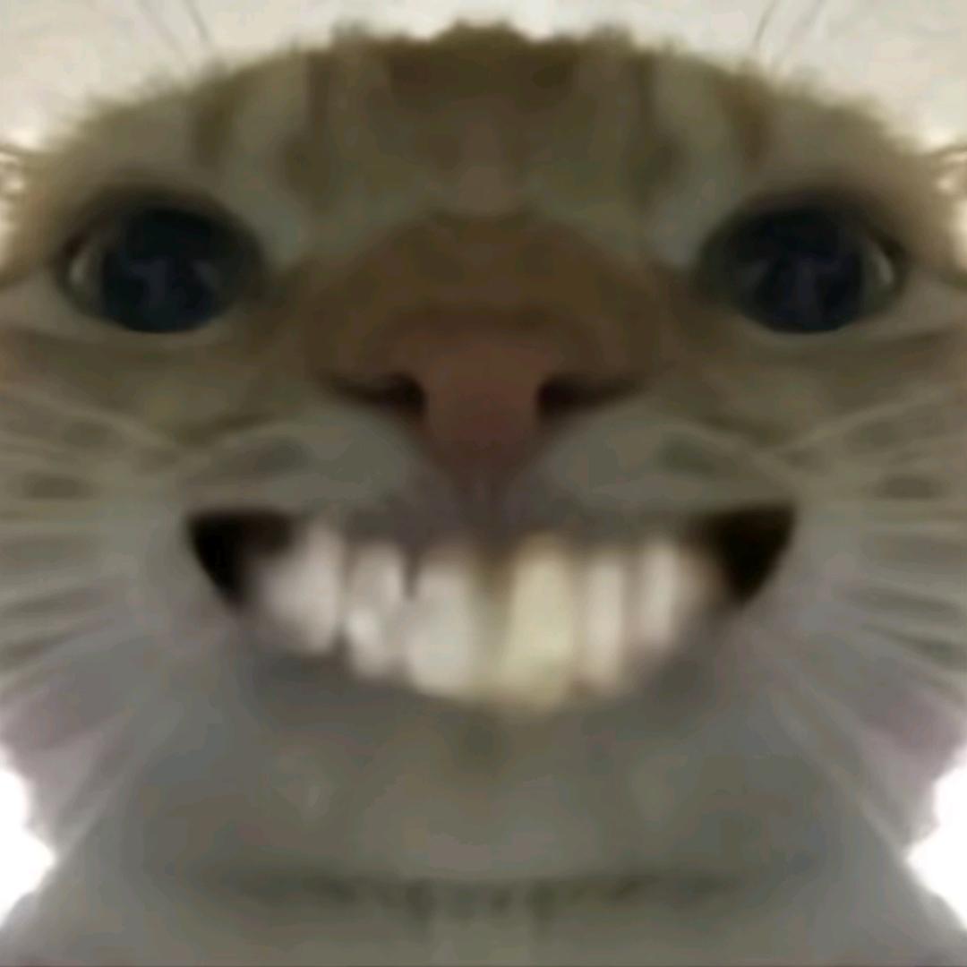 向秋