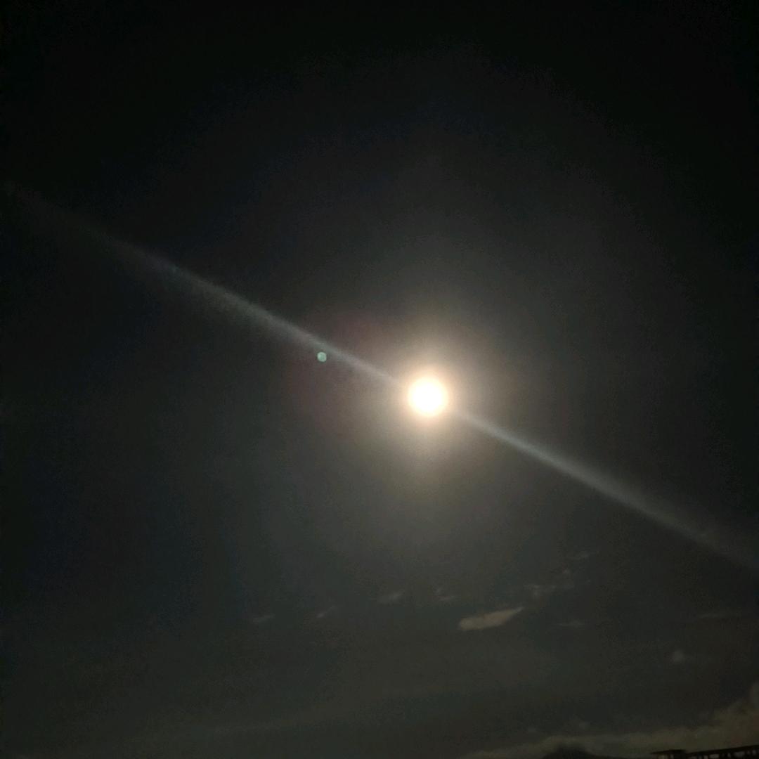 春花秋月何时了