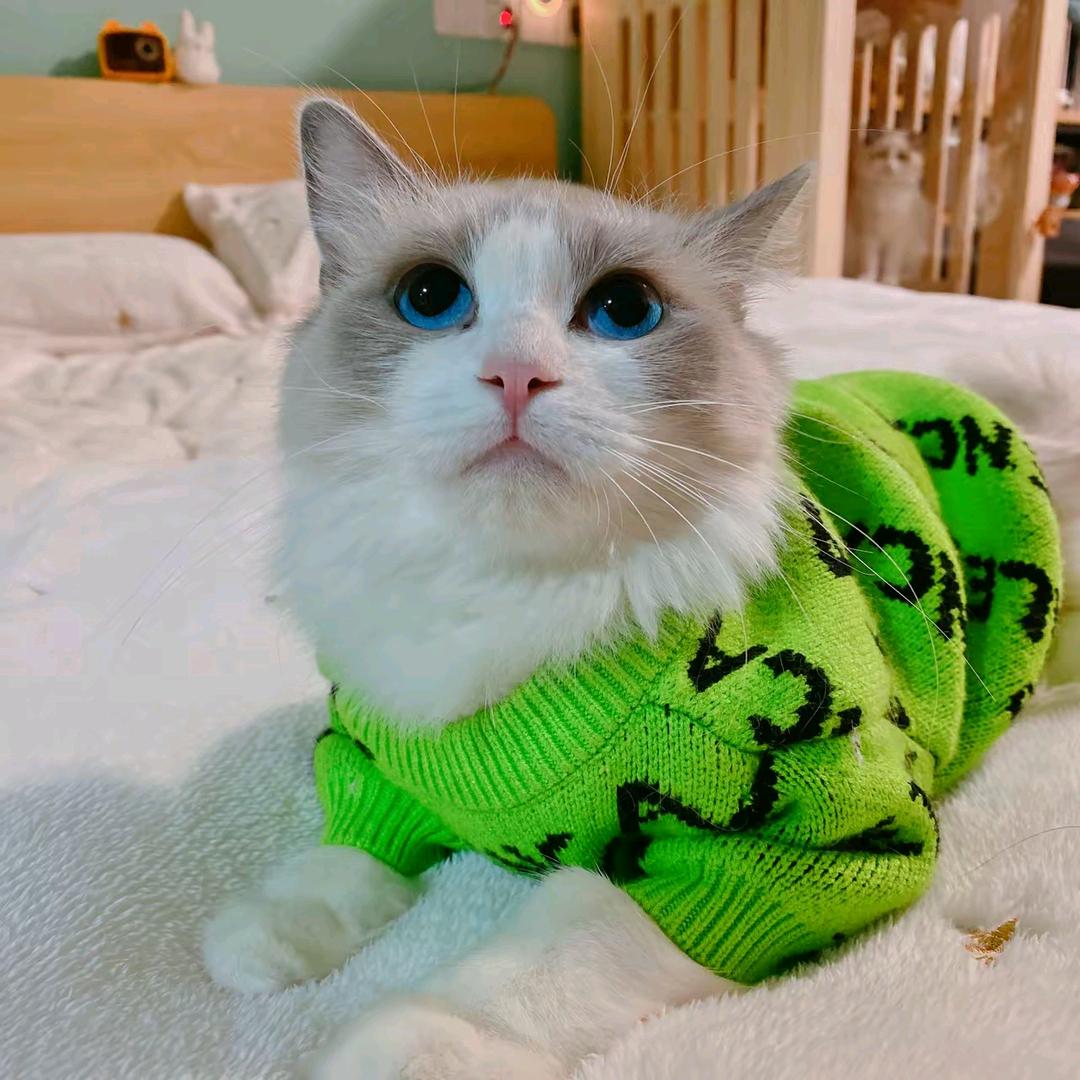 曹老板☞宠物用品