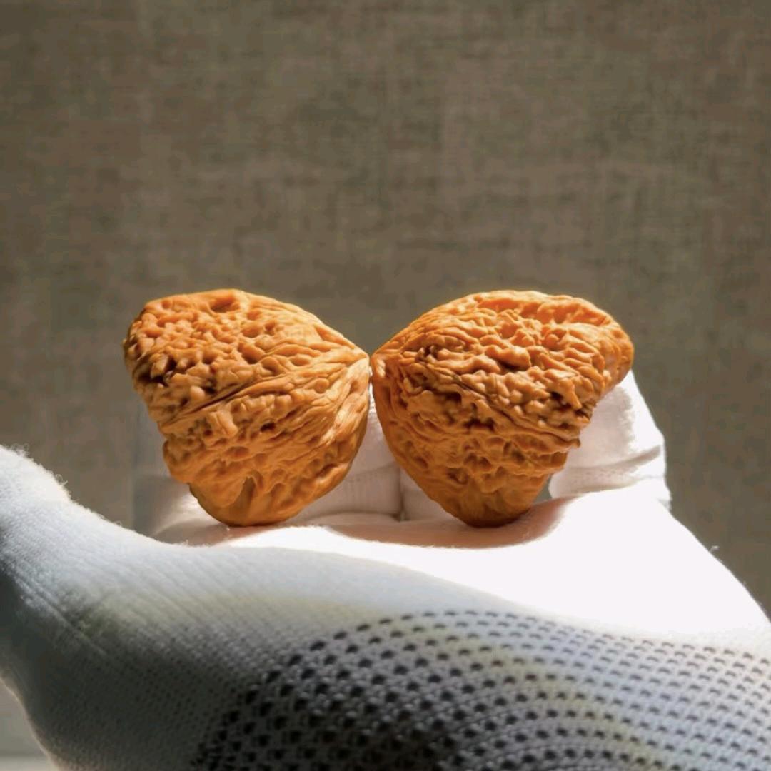 高成鹏知识产权甄选阁