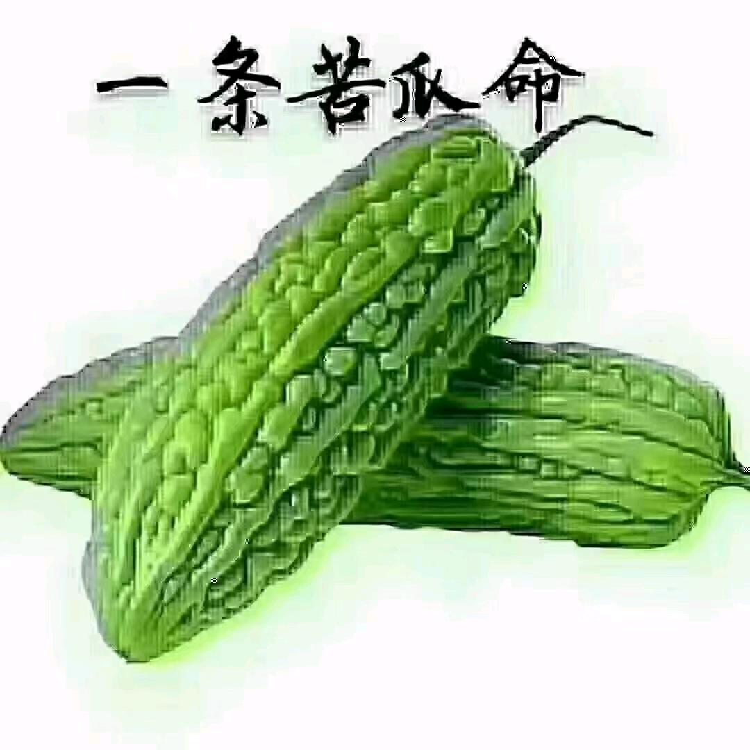 后悔也没用