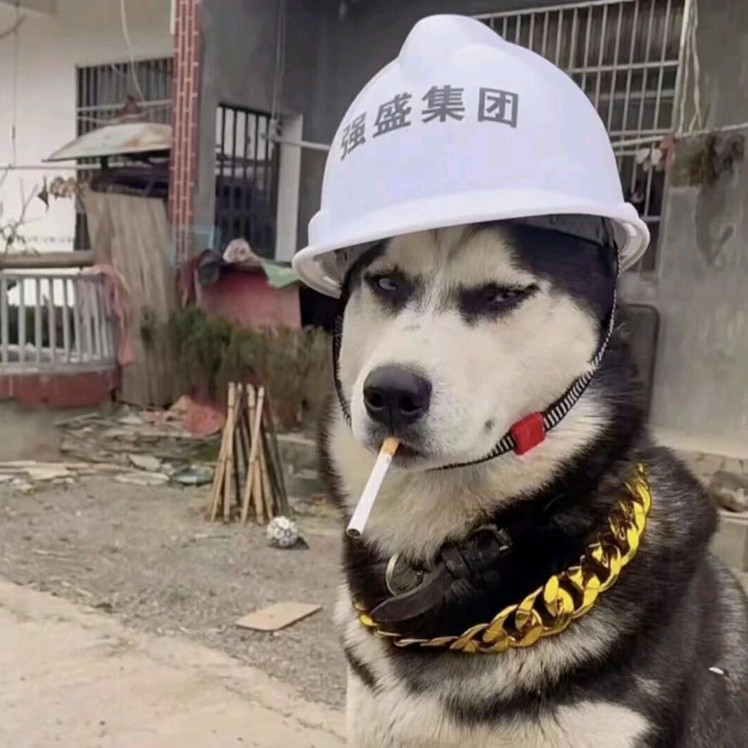 赵闯