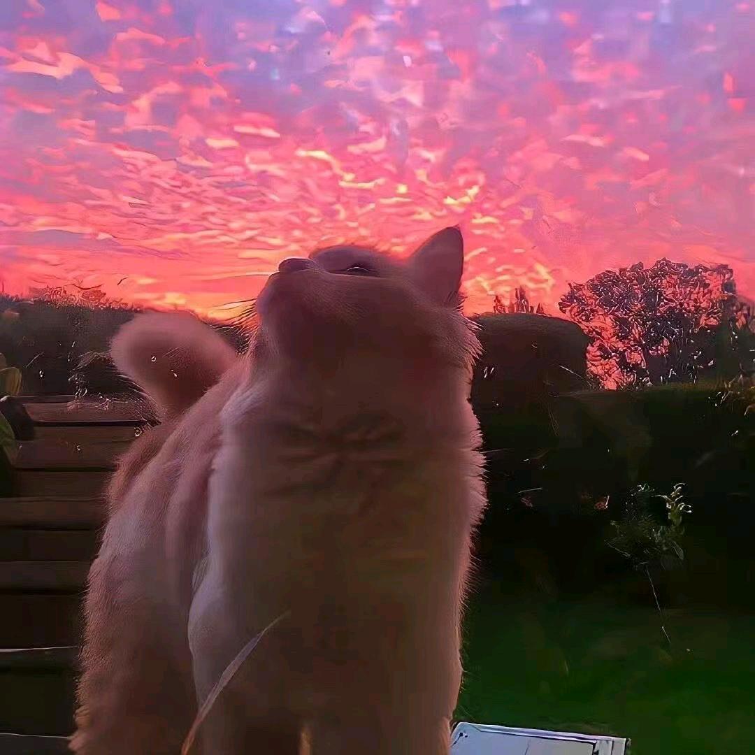 🥳