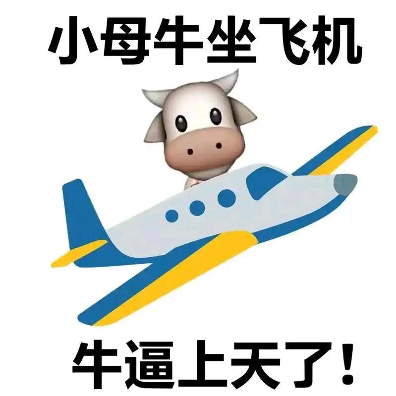 大牛（雷霆战机）